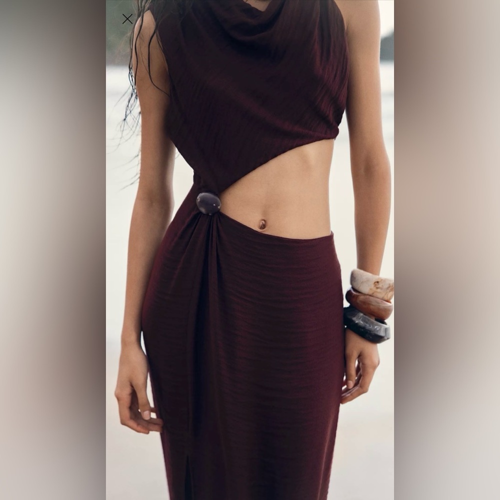Zara Cut out dress NWT